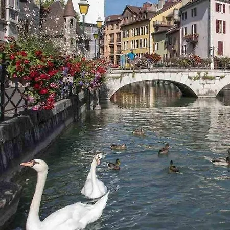 Alpin Mimosa 5 Min Vieille Apartment Annecy